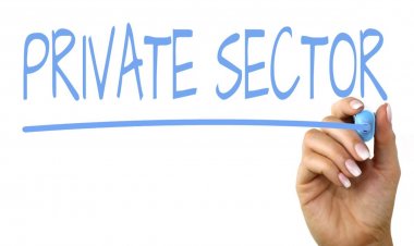 Private Companies in Nepal - A Guide to the Business and Industry of Nepal's Economy