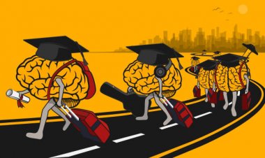 How can we prevent brain drain from Nepal?