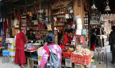 The Role of Local Businesses in Nepal's Economy: Challenges, Success, and Future Prospects