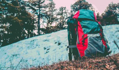 Defining a Seasoned Traveler: Who are They and What Makes Them Stand Out