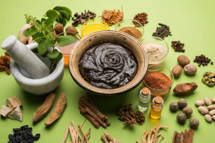 Exploring the Medicinal Properties of Popular Herbs Found Only in Nepal