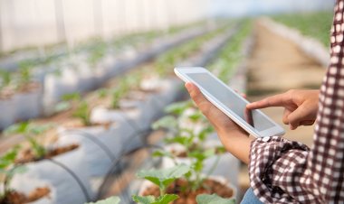 Navigating the Landscape of Agro E-Commerce in Nepal:  Benefits and Challenges