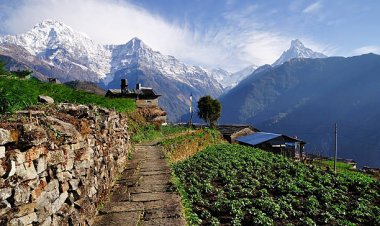 Explore the Stunning Himalayan Region of Nepal