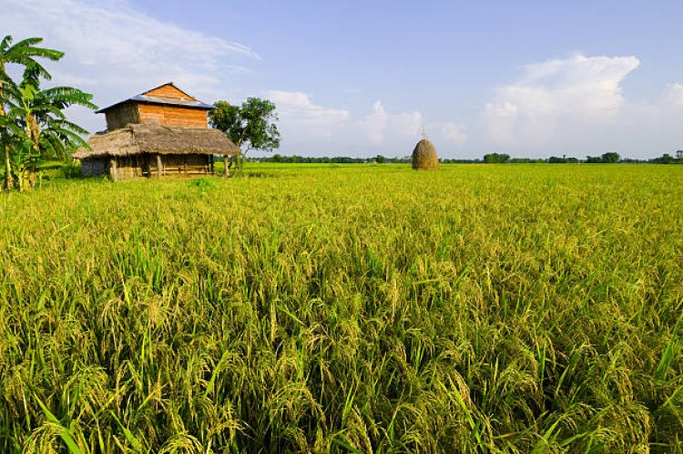 Discover the Beauty of Terai Region in Nepal