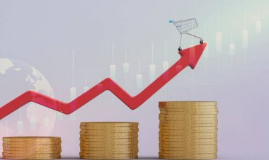 Exploring the Factors Behind High Inflation in Nepal