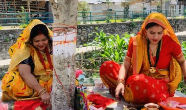 Vat Savitri: A Hindu Festival of Devotion and Prosperity