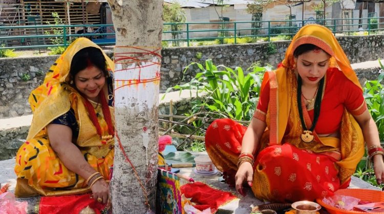 Vat Savitri: A Hindu Festival of Devotion and Prosperity