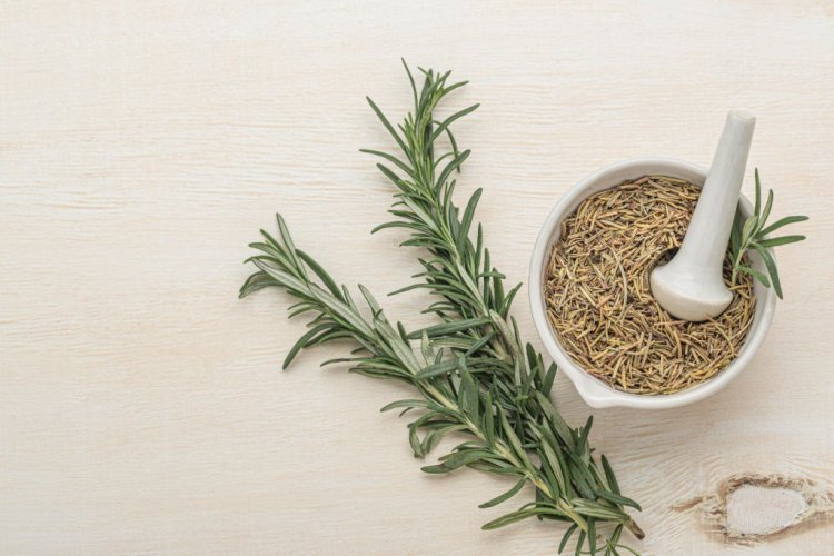 Rosemary Water for Hair Growth: My Experience