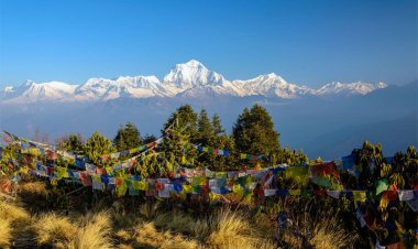 Exploring Poon Hill: A Himalayan Gem in Nepal