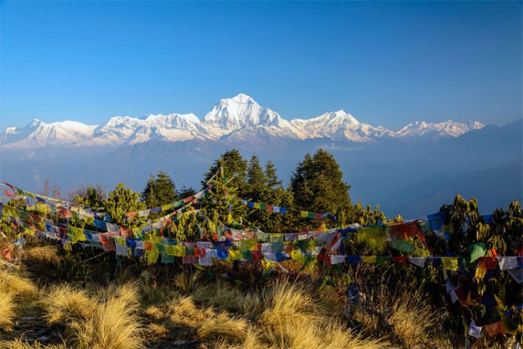 Exploring Poon Hill: A Himalayan Gem in Nepal