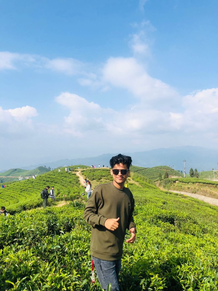 Exploring the Enchanting Beauty of Illam, Nepal: A Journey Through Tea Gardens, Cultural Riches, and Majestic Landscapes