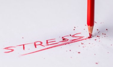 Stress Management: Strategies for a Balanced Life