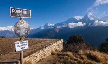 Poon Hill Trek Guide: A Himalayan Odyssey