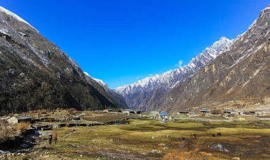 Exploring the Beauty of Langtang Trek: A Himalayan Adventure