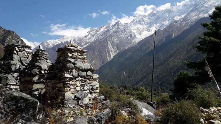 Exploring the Beauty of Langtang Trek: A Himalayan Adventure