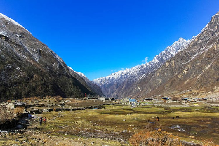 Exploring the Beauty of Langtang Trek: A Himalayan Adventure