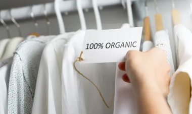 The Rise of Sustainable Fashion: A Green Revolution in the World of Style