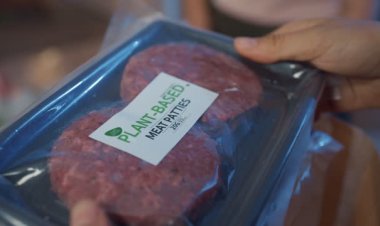 The Rise of Plant-Based Meat Alternatives