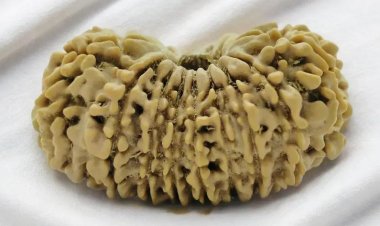 Nepali Rudraksha: A Symbol of Divine Connection and Protection