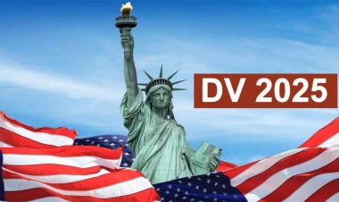 How can you apply for Diversity Visa (DV) Lottery Program