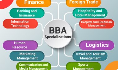 Career Options After a Bachelor of Business Administration (BBA)