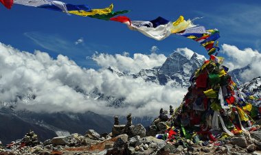 National Parks of Nepal: Protecting Wildlife and Promoting Ecotourism