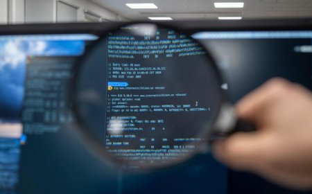 Top Business and IT Courses in Nepal: Career-Focused Options