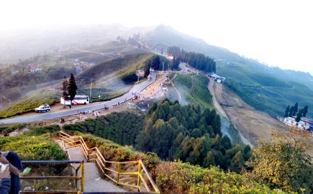 Municipality Ilam: A hub of Nepal’s Tea and Culture