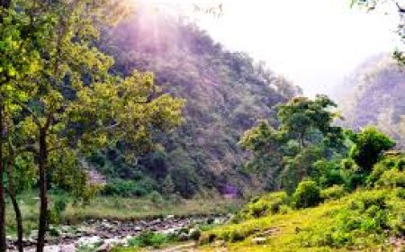 Discover Hetauda Municipality: Nepal’s Gateway to Beauty