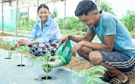 Actionable Climate‑Smart Farming Guide for Nepal’s Smallholder Farmers (2024)