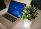 Starting an Online Business in Nepal: What to Register