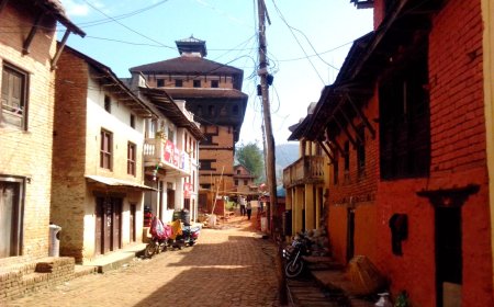 Nepal agri export: Fast‑Growing Markets (2022‑2024) and Steps for Smallholder Farmers