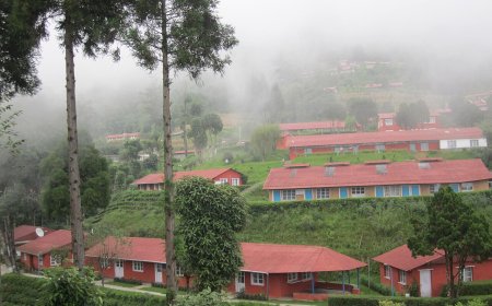Digital Agriculture Platforms in Nepal: AI and IoT Drive Yield Gains for Smallholder Farmers