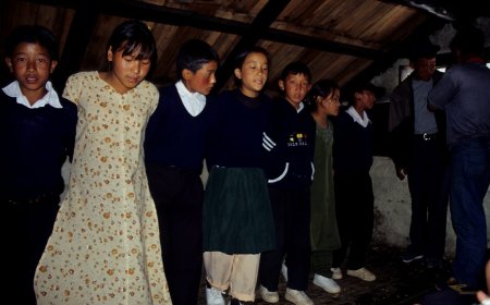 Mobile Money Helps Smallholder Farmers Access Climate‑Smart Agriculture Finance in Nepal