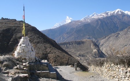 2026 Monsoon Outlook and Rice‑Farming Adjustments for Nepal