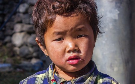 Nepal Used Car Buying Guide: Inspection Checklist, Ownership Transfer, and Tax Overview (2026)