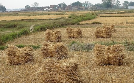 Nepal’s 2026‑2027 Rural Electrification Subsidy Program: What Small Enterprises Need to Know
