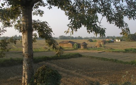 How to Read Your NEA Electricity Bill in Nepal, Field by Field
