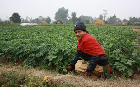 How to Work Out the Real Cost of Sending Money to Nepal