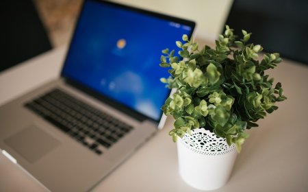 Starting an Online Business in Nepal: What to Register