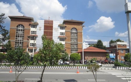 Guardianship of a Minor in Nepal: How It Works and Where to Start