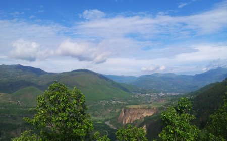Buying Foreign Exchange for Travel in Nepal: How the Traveller Facility Works