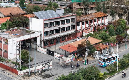 Driving Licence Renewal in Nepal: What We Couldn't Confirm (Sep 2026)