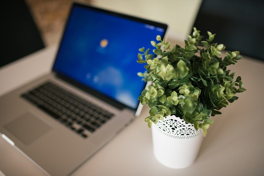 Starting an Online Business in Nepal: What to Register