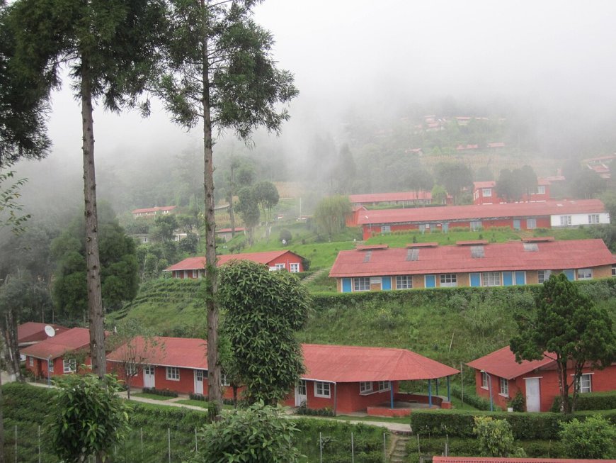 Digital Agriculture Platforms in Nepal: AI and IoT Drive Yield Gains for Smallholder Farmers
