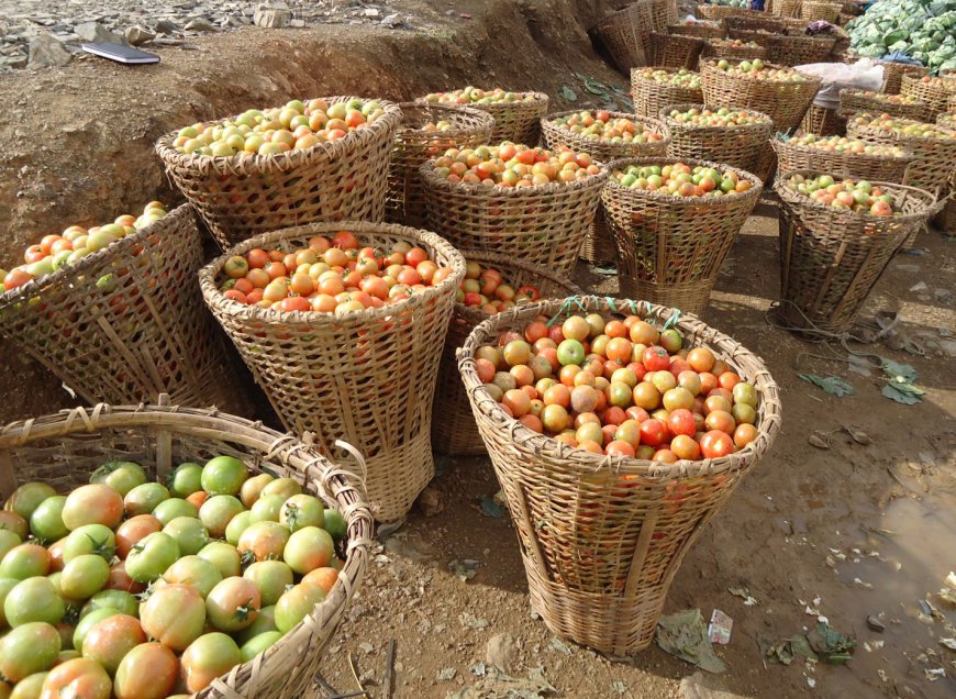How Community Homestay Networks Are Transforming Rural Nepal’s Post‑COVID Economy: New Data, Policy Impact, and Gender‑Focused Growth
