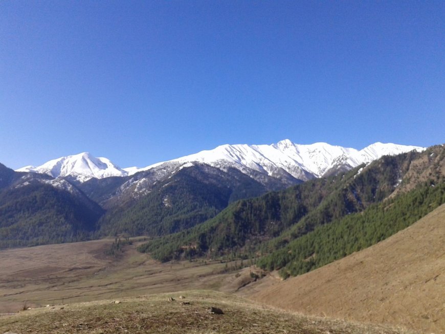 2026 Nepal Students' Guide to Canada Study Permit: Documents, Financial Proof & PGWP Pathway
