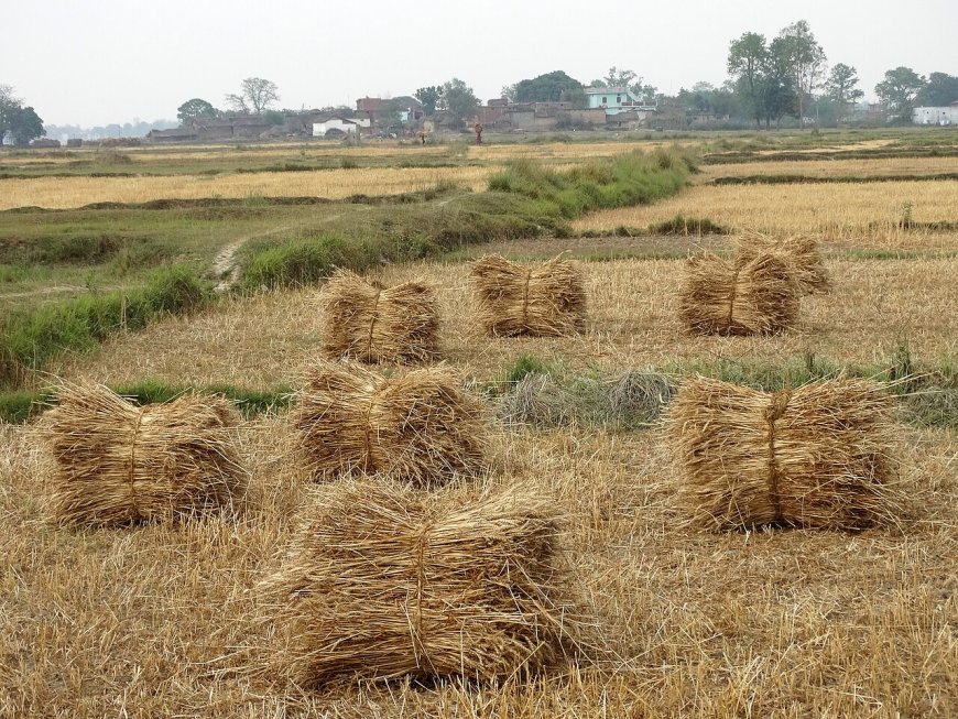 Nepal’s 2026‑2027 Rural Electrification Subsidy Program: What Small Enterprises Need to Know