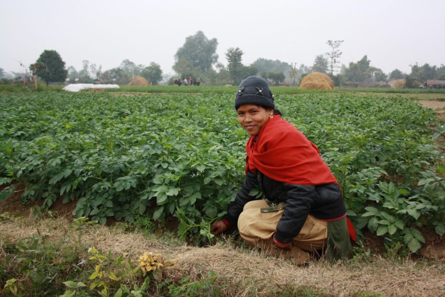 How to Work Out the Real Cost of Sending Money to Nepal