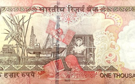 SIP in Nepal (2026): Does Your Fund Offer One?